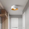 Contemporary Nordic Round Iron Glass 1-Light Semi-Flush Mount Ceiling Light