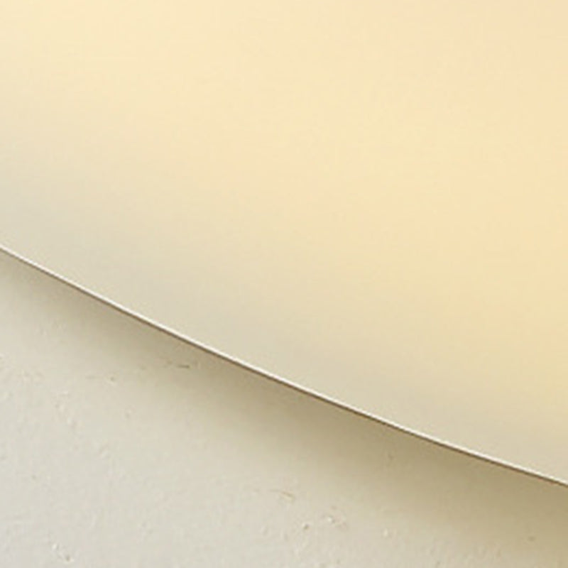 Modern Minimalist Pebble Shape PE LED Ceiling Light for Bedroom Flush Mount