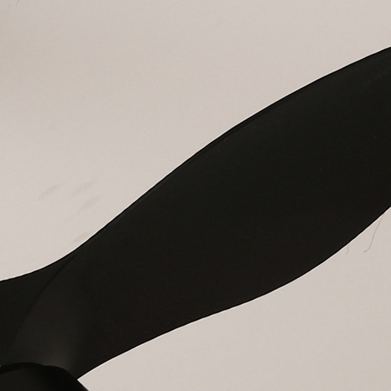Modern Minimalist Round Acrylic Ceiling Fan Light - LED Downrod Fan for Bedroom