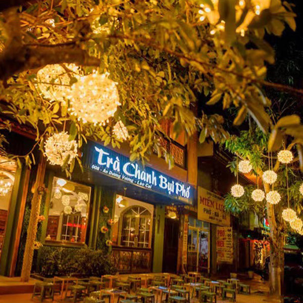 Modern Art Deco LED Outdoor Pendant Light - Waterproof PVC Hanging Ball Decoration for Garden