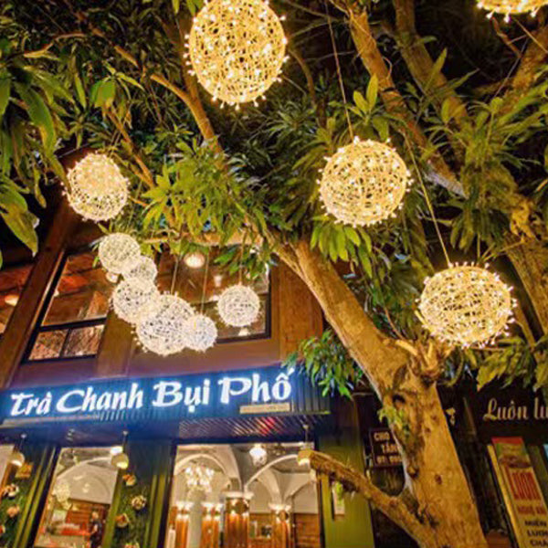 Modern Art Deco LED Outdoor Pendant Light - Waterproof PVC Hanging Ball Decoration for Garden