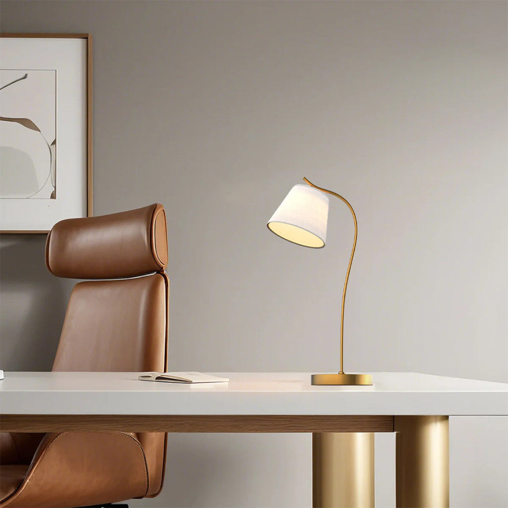 Metal Gooseneck Desk Lamp with Cone Shade for Home Office Lighting