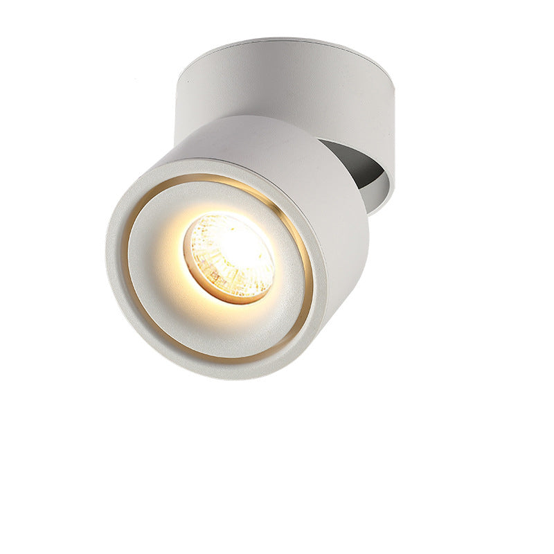 Modern Minimalist Adjustable Aluminum LED Ceiling Light for Living Room