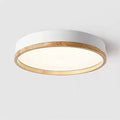 Simple Macaron Round Acrylic LED Flush Mount Ceiling Light - Modern Lighting Fixture for Home, Kitchen, and Hallway, Energy Efficient Design