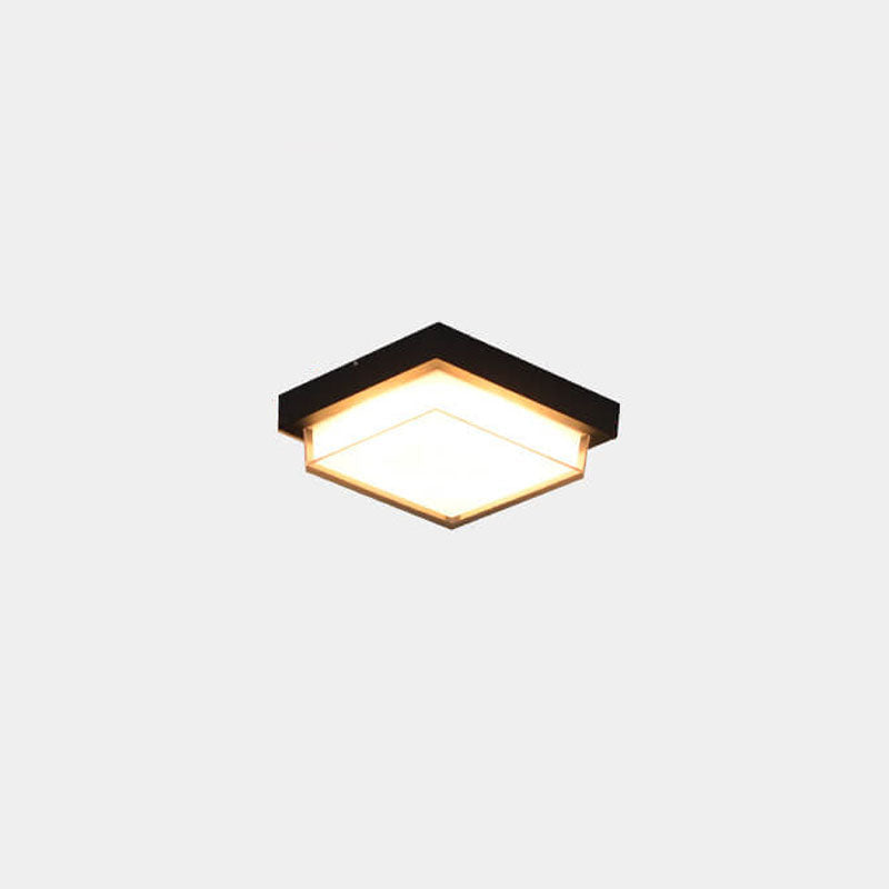 Modern Minimalist Aluminum Acrylic Induction LED Outdoor Flush Mount Light
