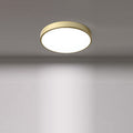Modern Minimalist Round Iron Acrylic LED Ceiling Light for Living Room