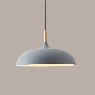 Modern Metal Wood Dome Pendant Light - 1-Light Fixture