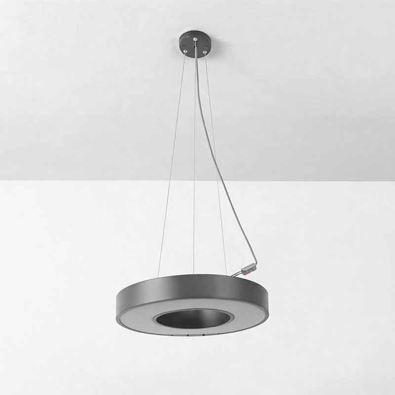 LED Pendant Ring Ceiling Light Modern Metal Acrylic Fixture