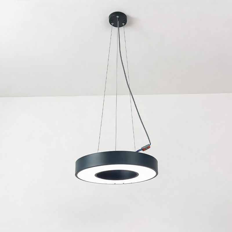 LED Pendant Ring Ceiling Light Modern Metal Acrylic Fixture