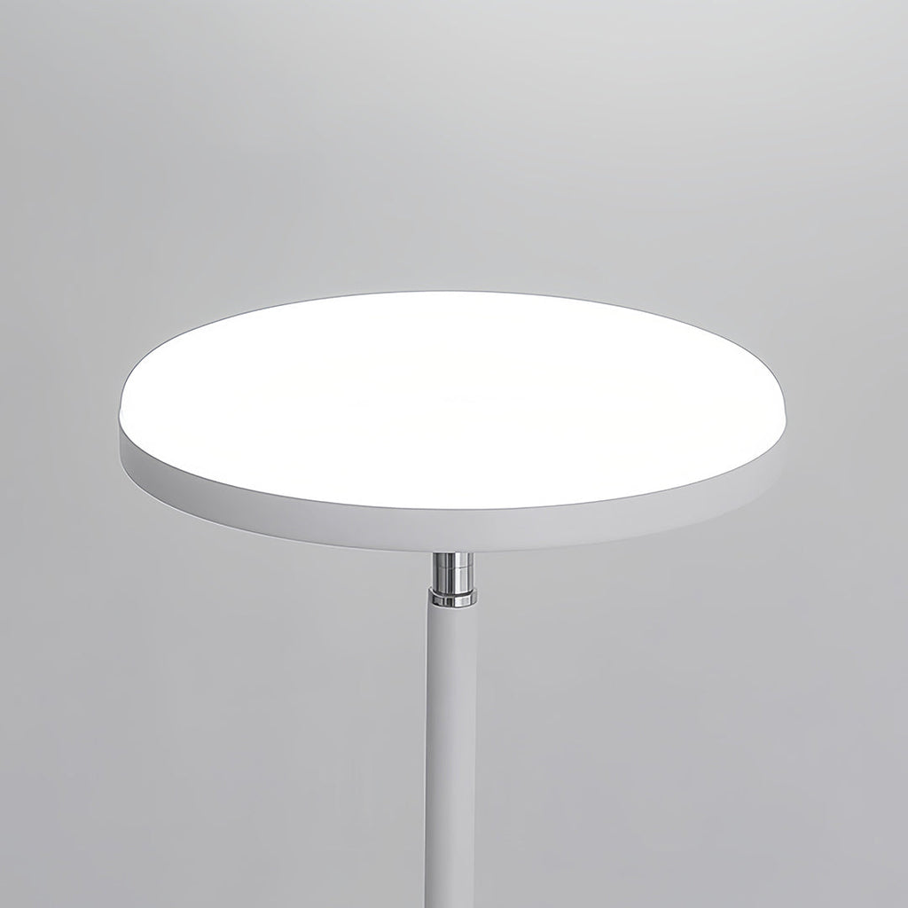 Uplight Floor Lamp with Ambient Reading Light and Downlight Function