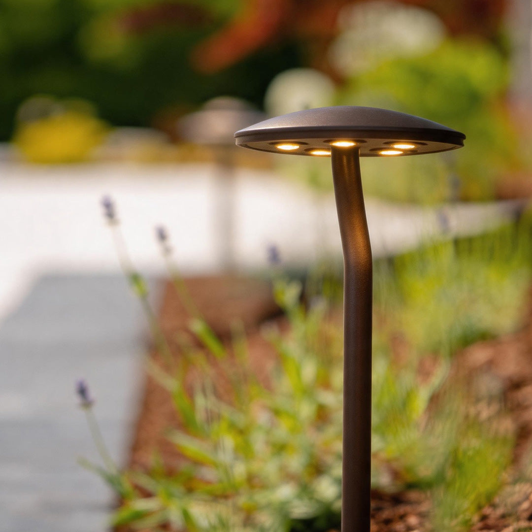 Pathway Landscape Lighting Waterproof LED Light for Outdoor Use

Illuminate your outdoor spaces with our premium waterproof LED pathway landscape lighting. Designed for durability and style, these lights enhance safety and aesthetics in gardens, walkways,