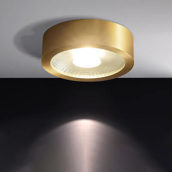 Modern Copper Ultra-thin LED Flush Mount Light for Hallway