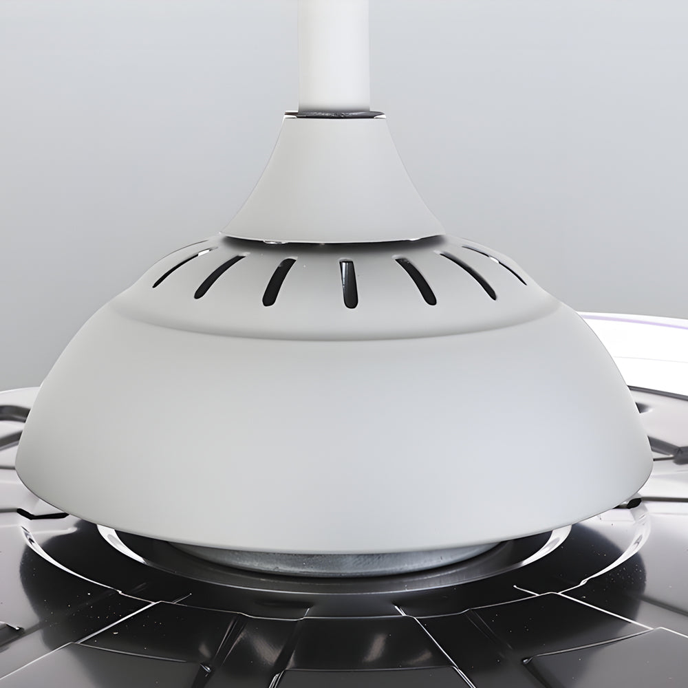 Modern Black Ceiling Fan with Adjustable LED Light