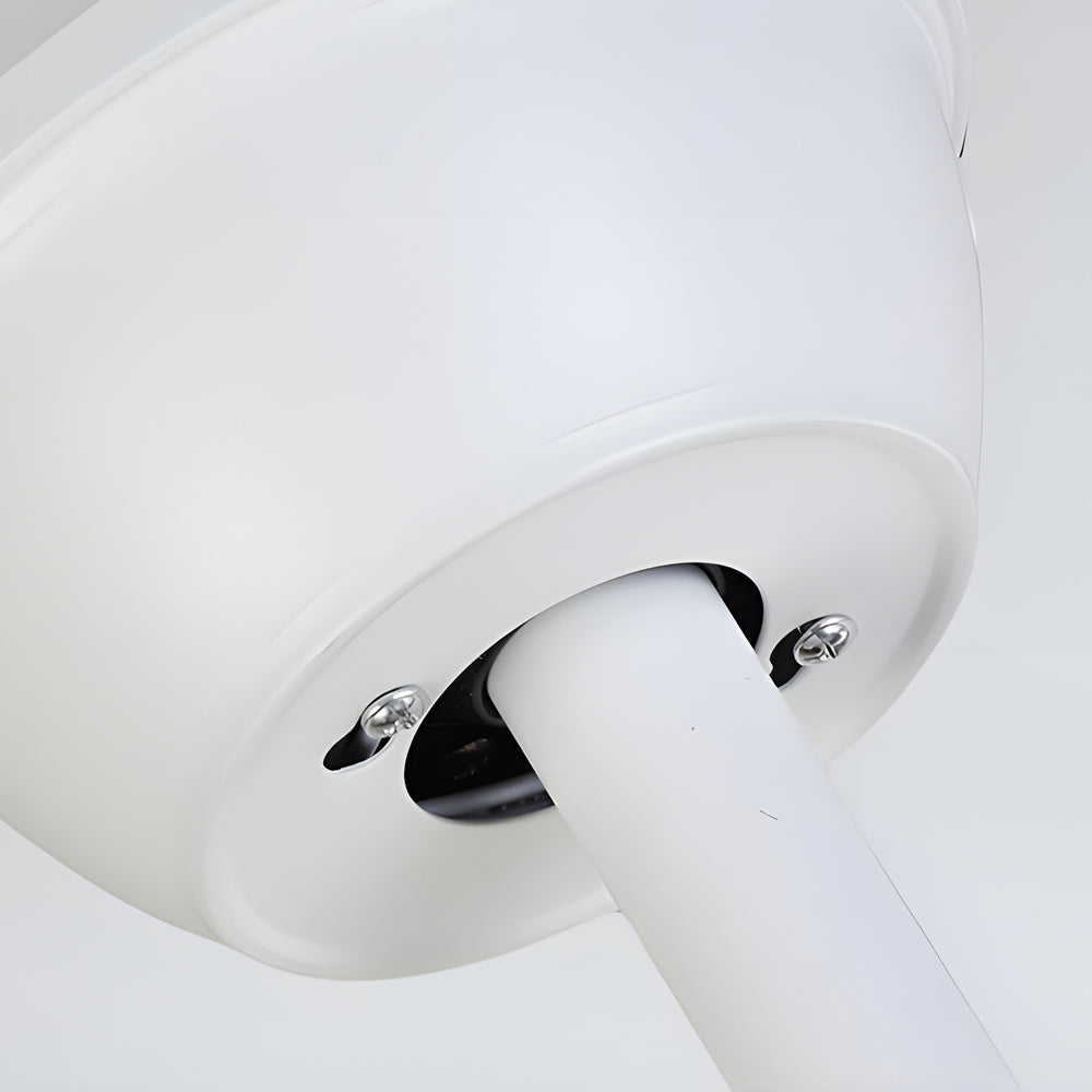 Black Modern Fan with Adjustable LED Light