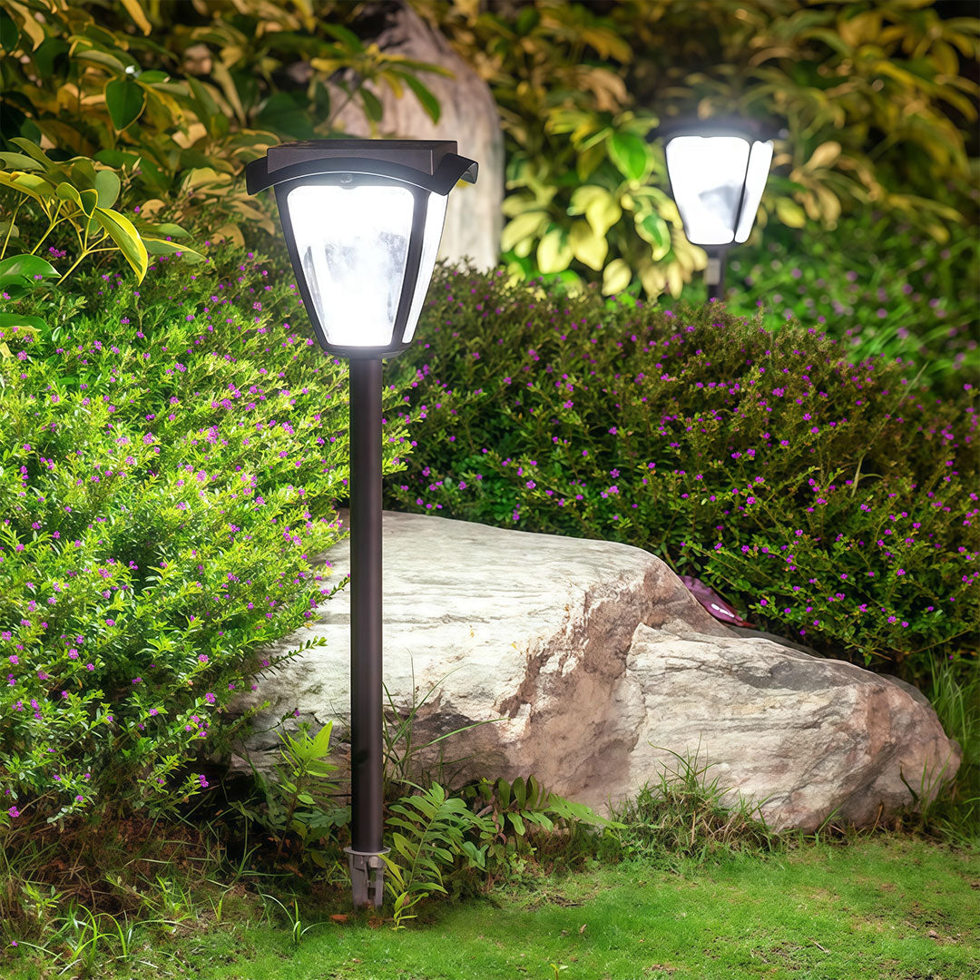 **Solar Waterproof Path Lights - Outdoor LED Garden Lighting**

Illuminate your outdoor space with our Solar Waterproof Path Lights, designed for efficiency and style. Perfect for gardens, patios, and walkways, these solar-powered LED lights provide relia