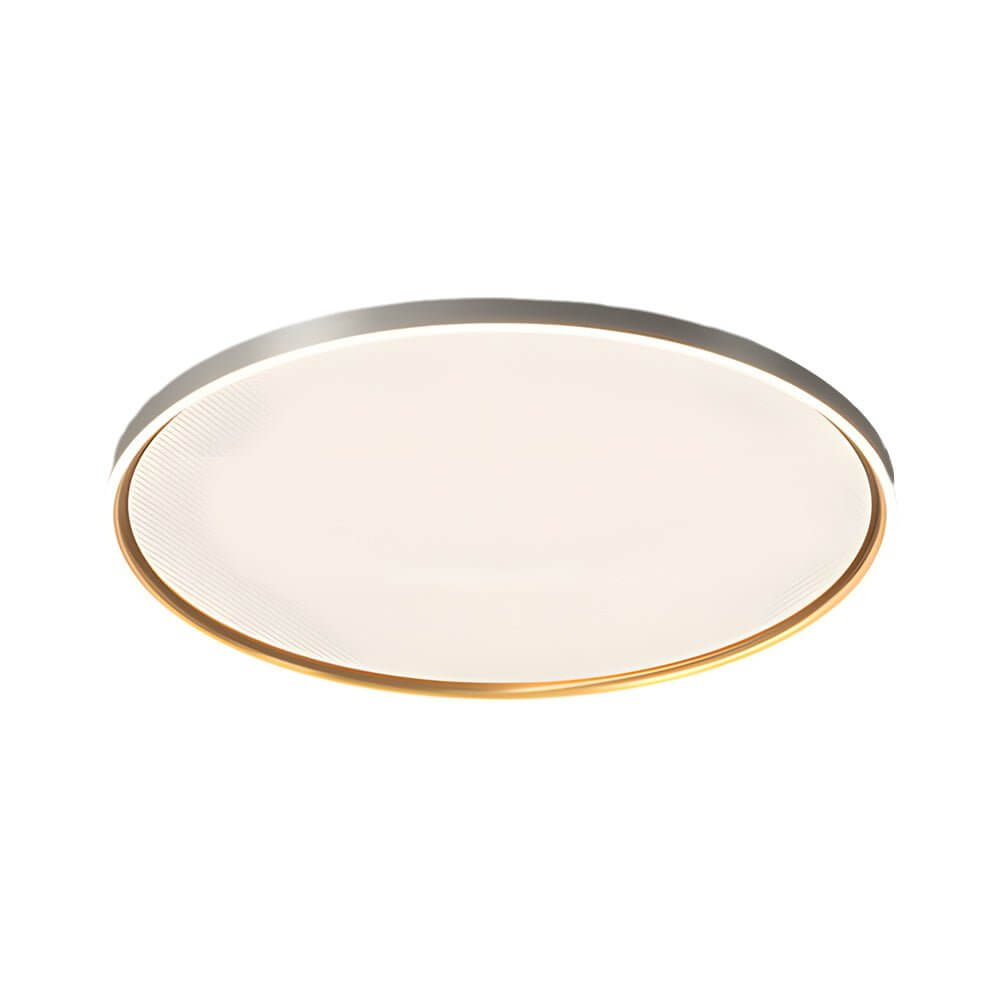 Brushed Gray Aluminum LED Ceiling Light - Modern Interior Lighting, Energy Efficient, Stylish Design, Flush Mount Fixture