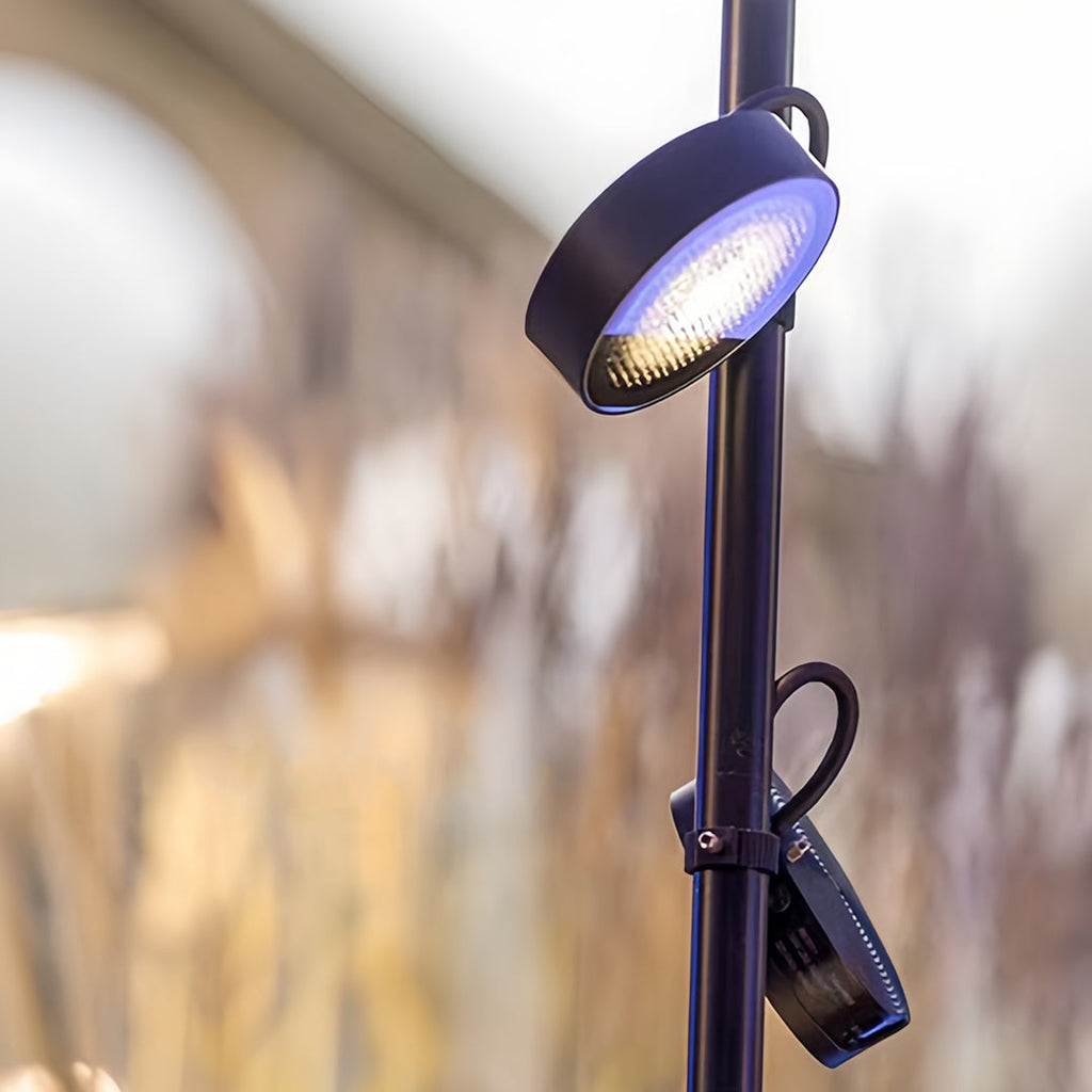 Pathway Landscape Lights - Black Outdoor Lawn Lighting Solutions for Gardens and Walkways