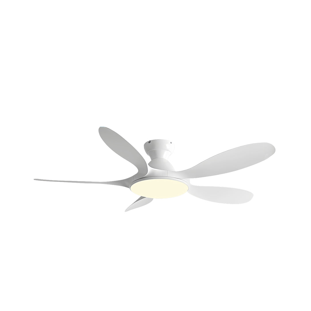 5 Blade Ceiling Fan with Light - ABS Blades, Metal Body, Modern Design