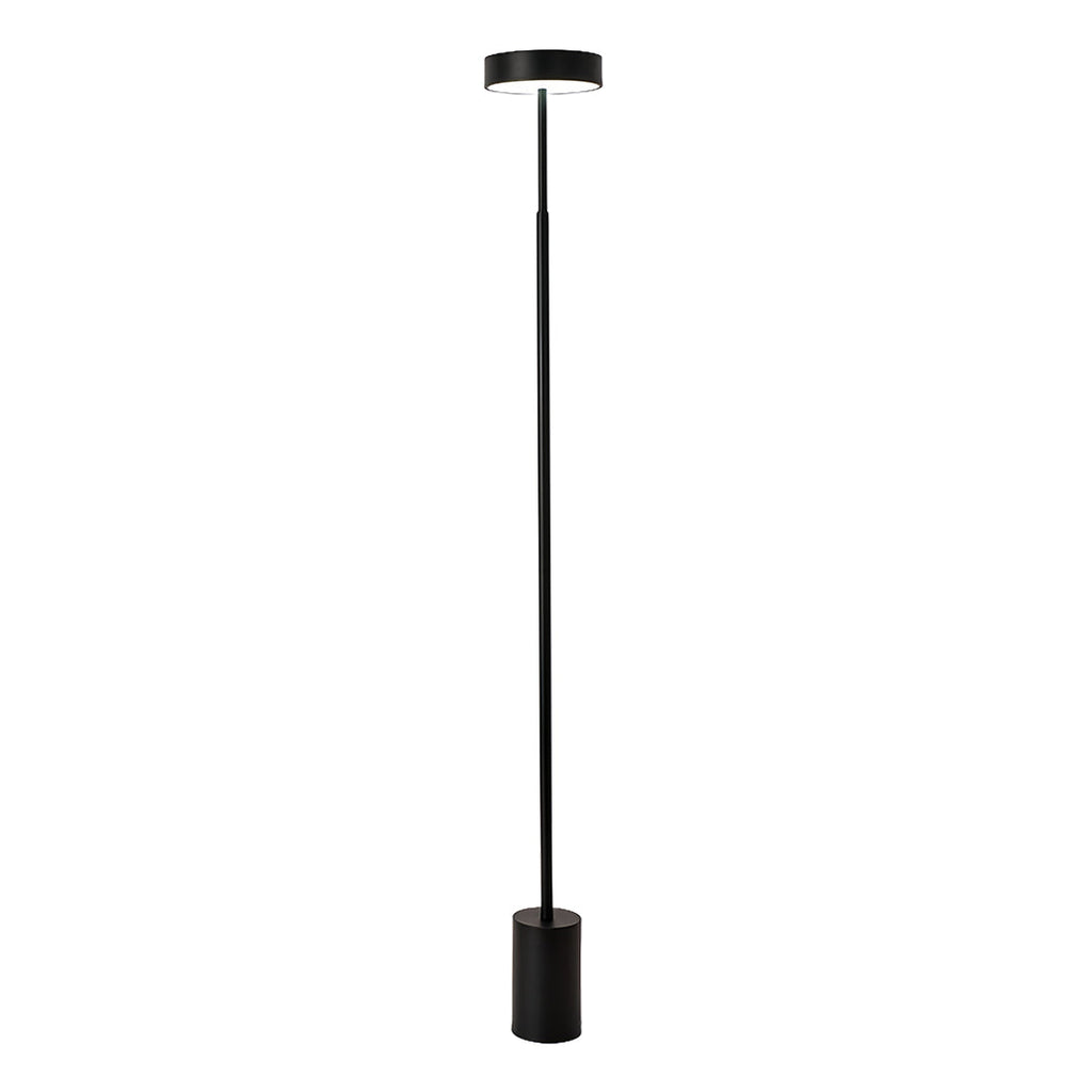 Petite Modern Dimmable Floor Lamp - Contemporary Reading Pole Light