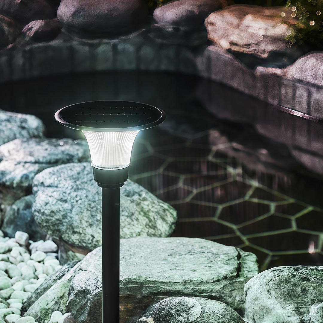 Black Solar Pathway Lights - Outdoor Ground Socket Lamp for Garden Lighting