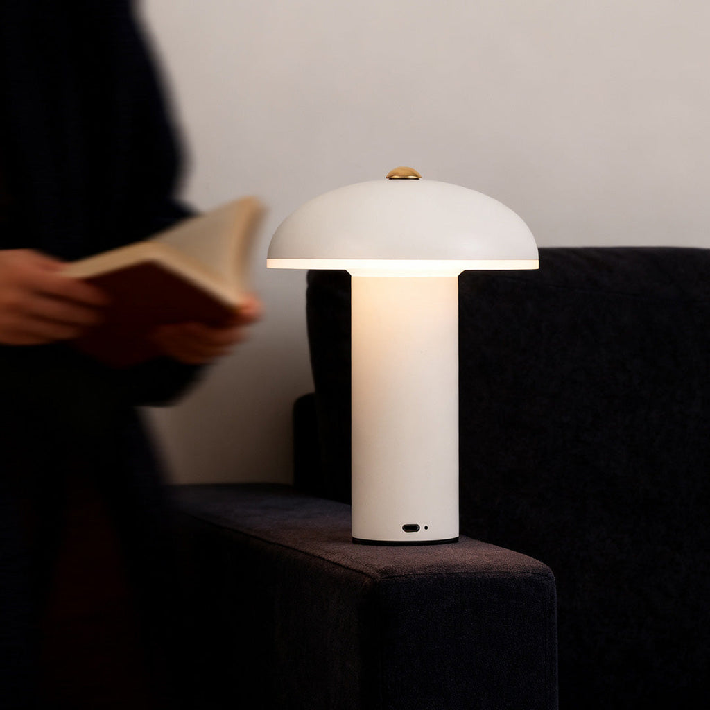 Dimmable LED Table Lamp - Stylish Iron and Acrylic Ambient Light for Home Decor