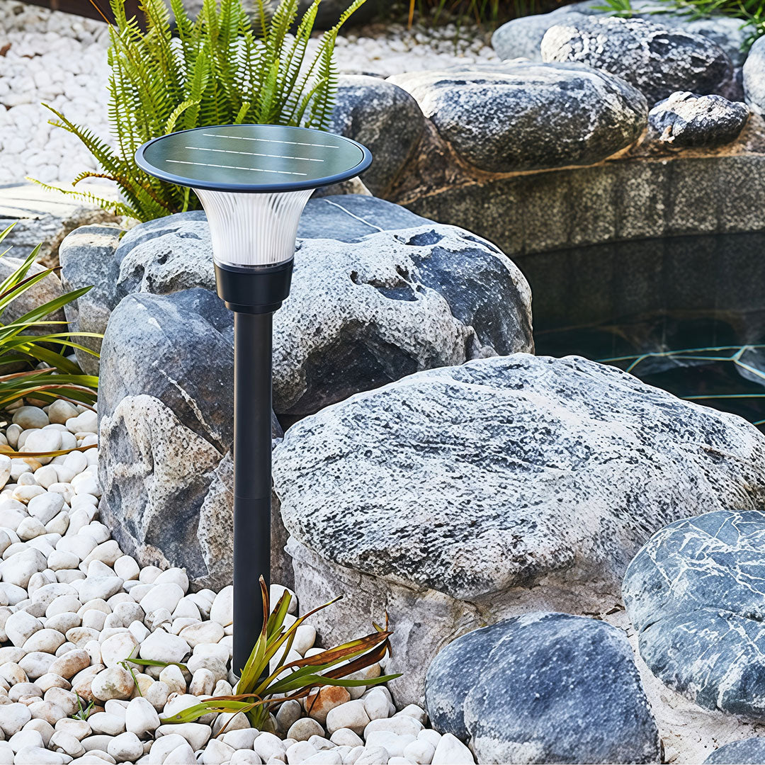 Black Solar Pathway Lights - Outdoor Ground Socket Lamp for Garden Lighting