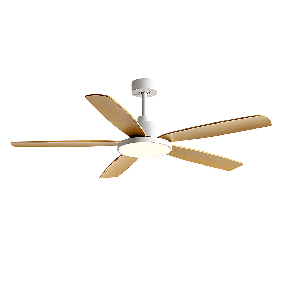 Nordic Style Ceiling Fan Chandelier with 5 Lights - Modern Lighting Fixture