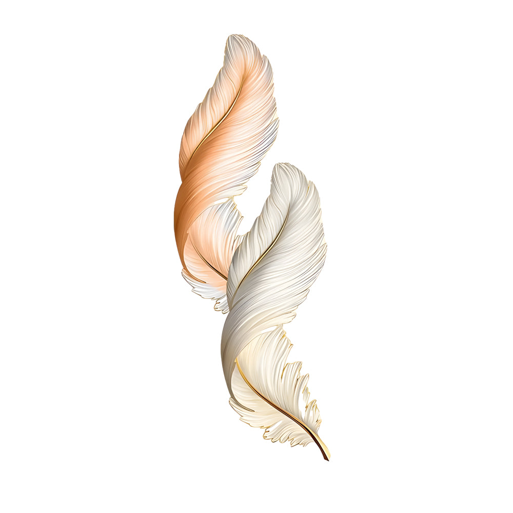 Feather Wall Decor Backlit Lamp with Remote Control