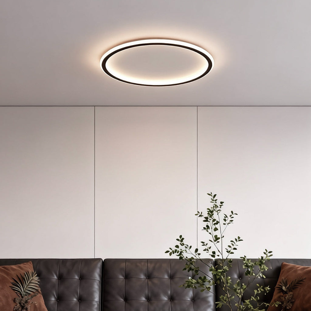 LED Circle Ceiling Lamp - Simple Acrylic Metal Light Fixture