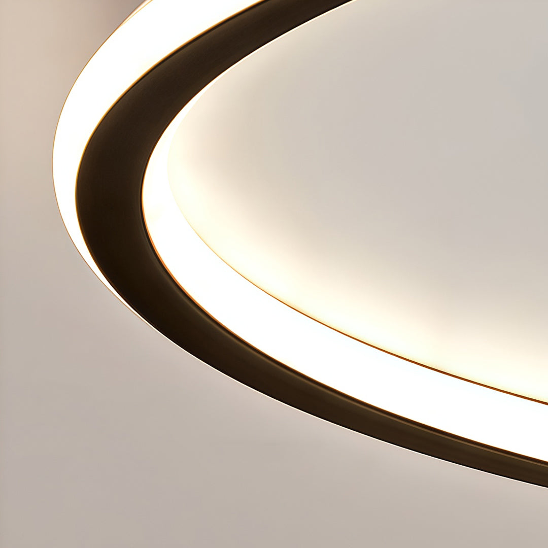 LED Circle Ceiling Lamp - Simple Acrylic Metal Light Fixture