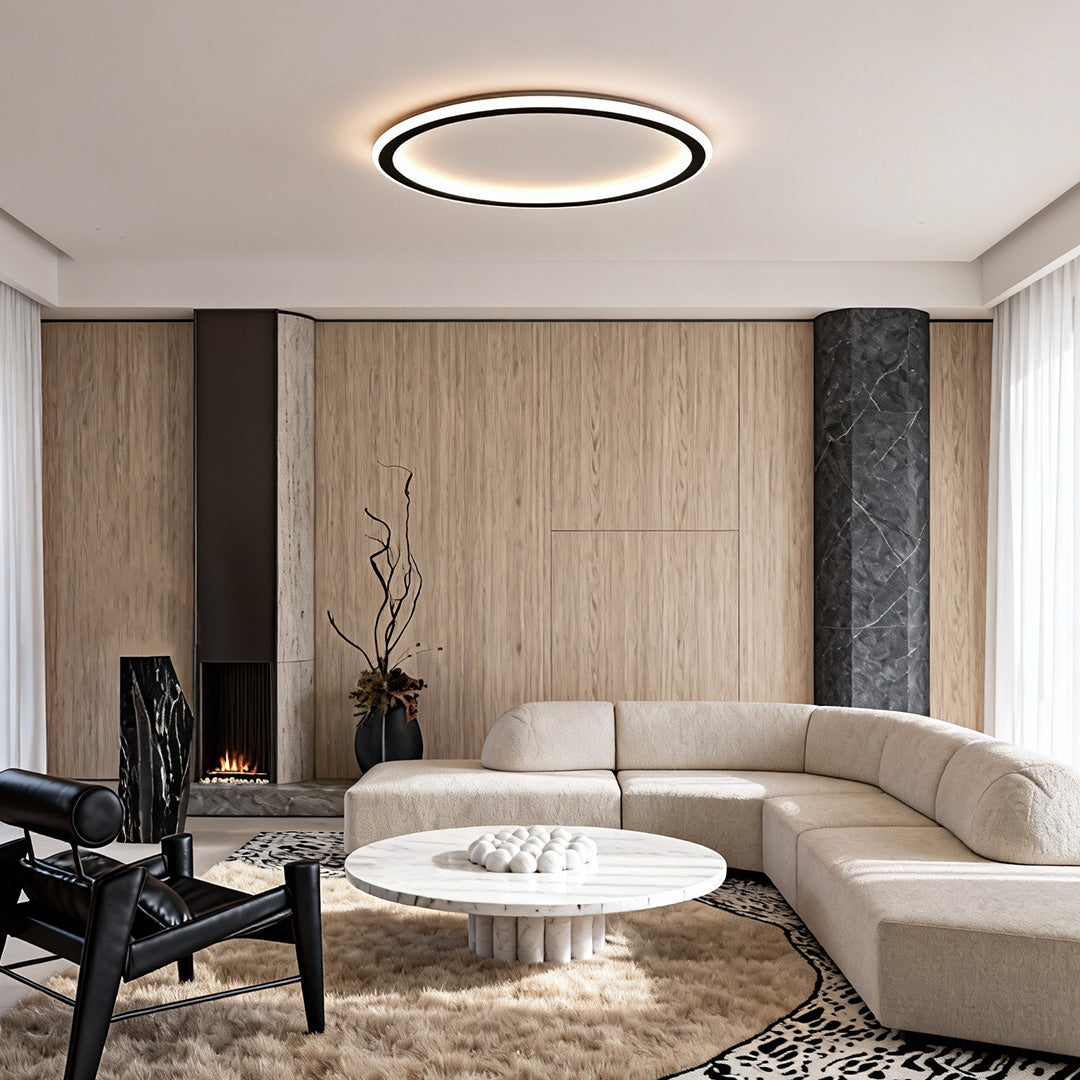 LED Circle Ceiling Lamp - Simple Acrylic Metal Light Fixture