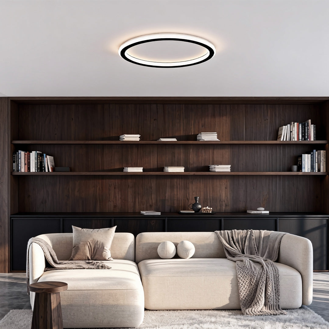 LED Circle Ceiling Lamp - Simple Acrylic Metal Light Fixture