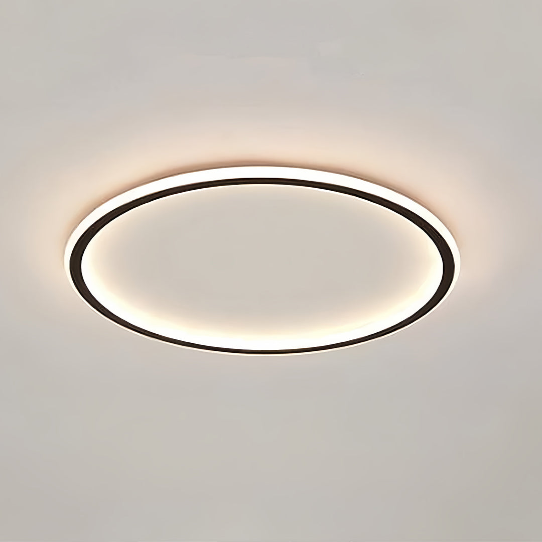 LED Circle Ceiling Lamp - Simple Acrylic Metal Light Fixture