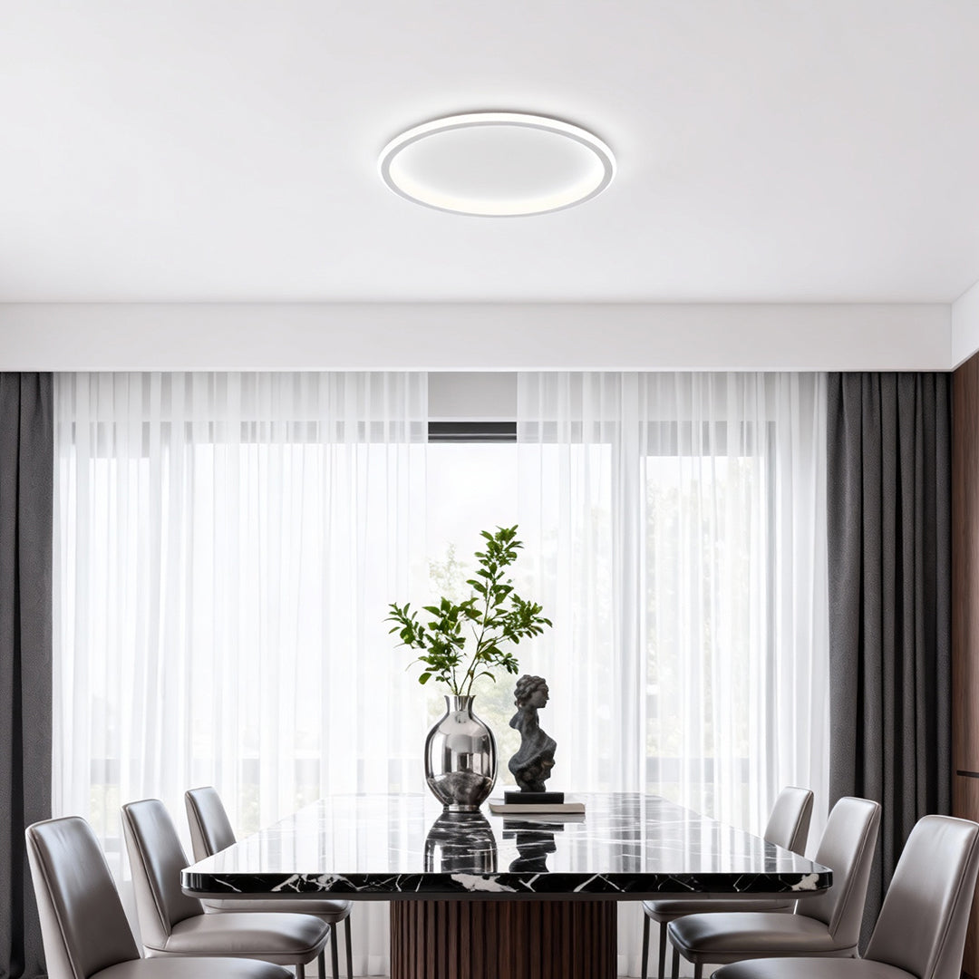 LED Circle Ceiling Lamp - Simple Acrylic Metal Light Fixture