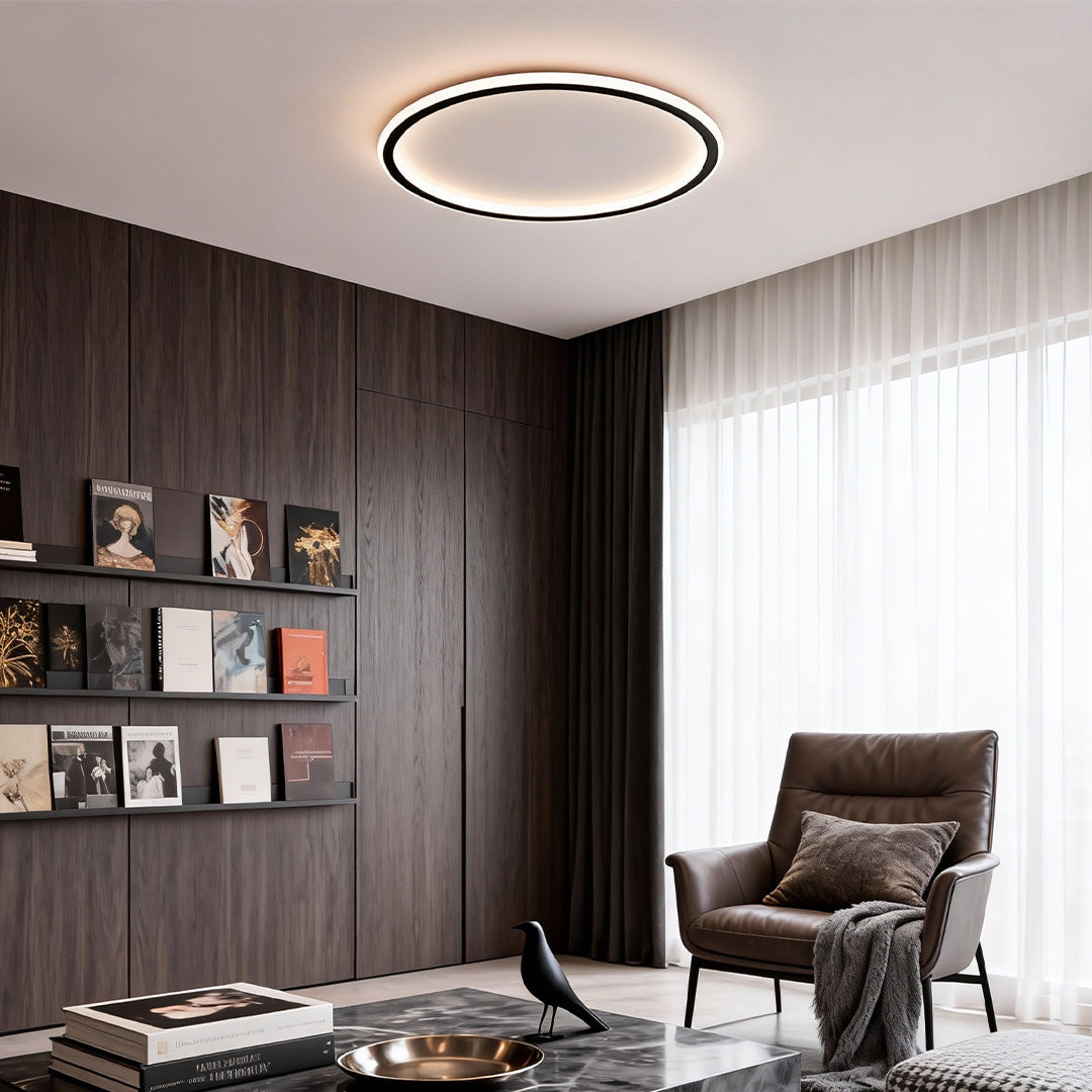 LED Circle Ceiling Lamp - Simple Acrylic Metal Light Fixture
