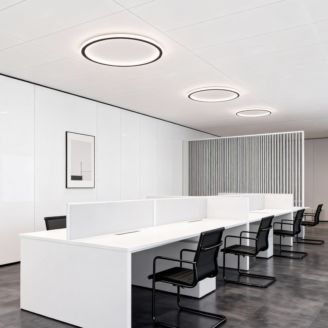 LED Circle Ceiling Lamp - Simple Acrylic Metal Light Fixture