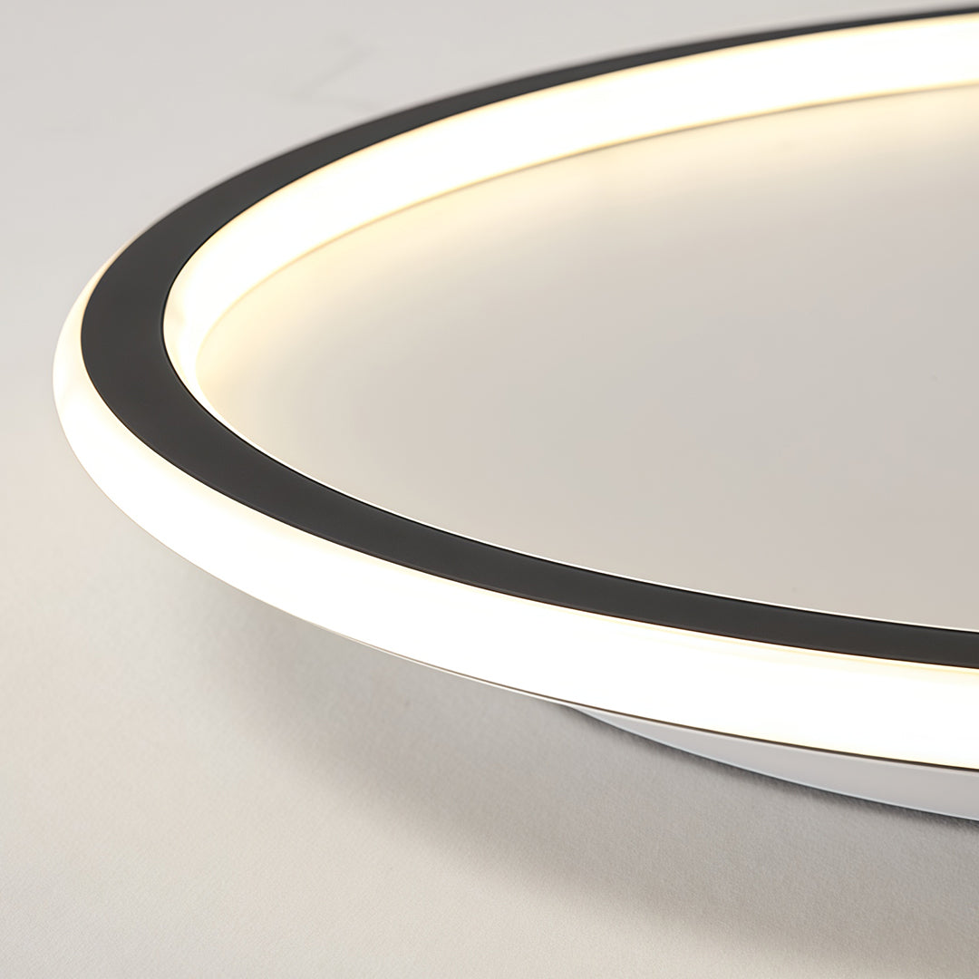 LED Circle Ceiling Lamp - Simple Acrylic Metal Light Fixture