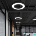 LED Pendant Ring Ceiling Light Modern Metal Acrylic Fixture