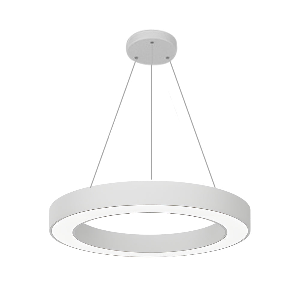 LED Pendant Ring Ceiling Light Modern Metal Acrylic Fixture