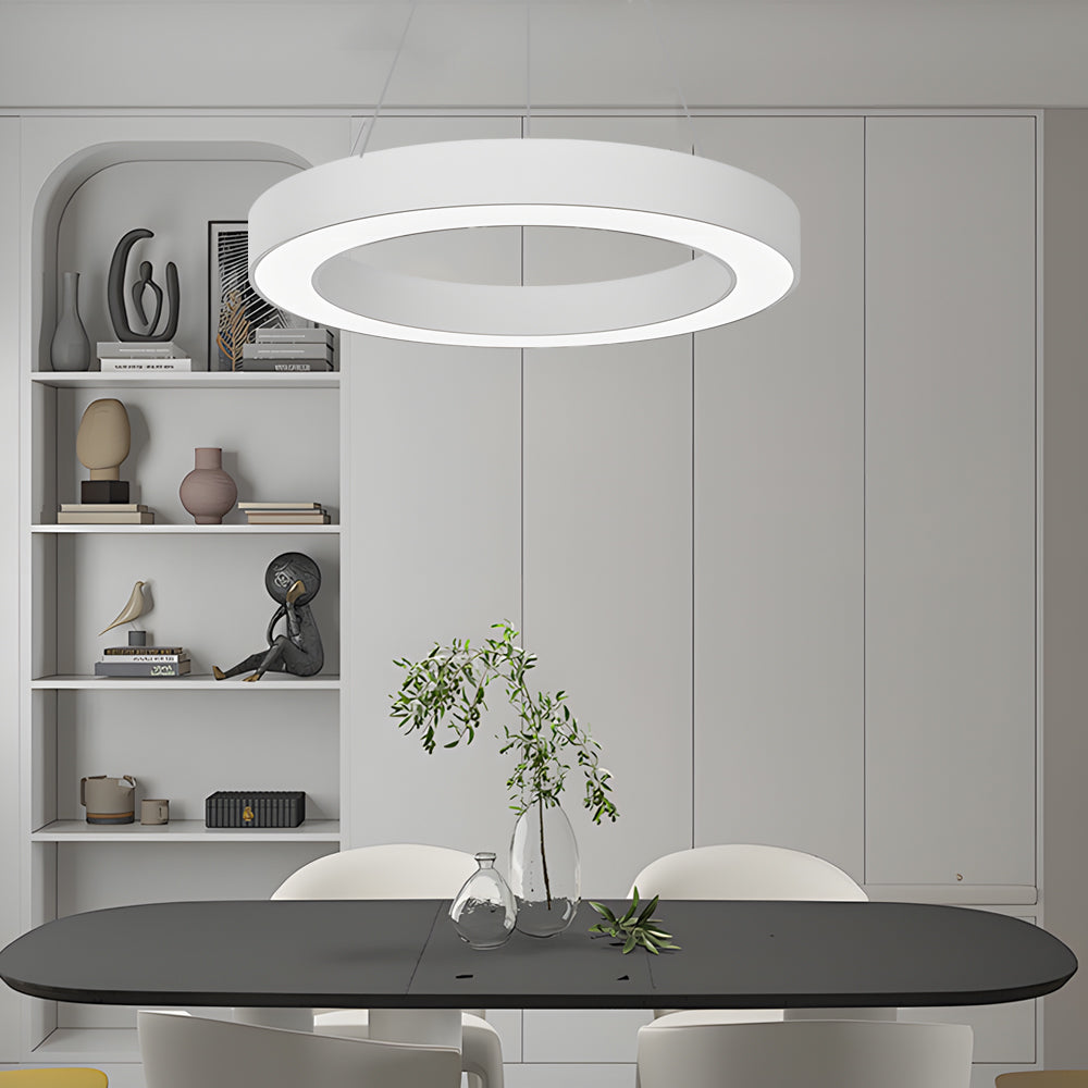 LED Pendant Ring Ceiling Light Modern Metal Acrylic Fixture