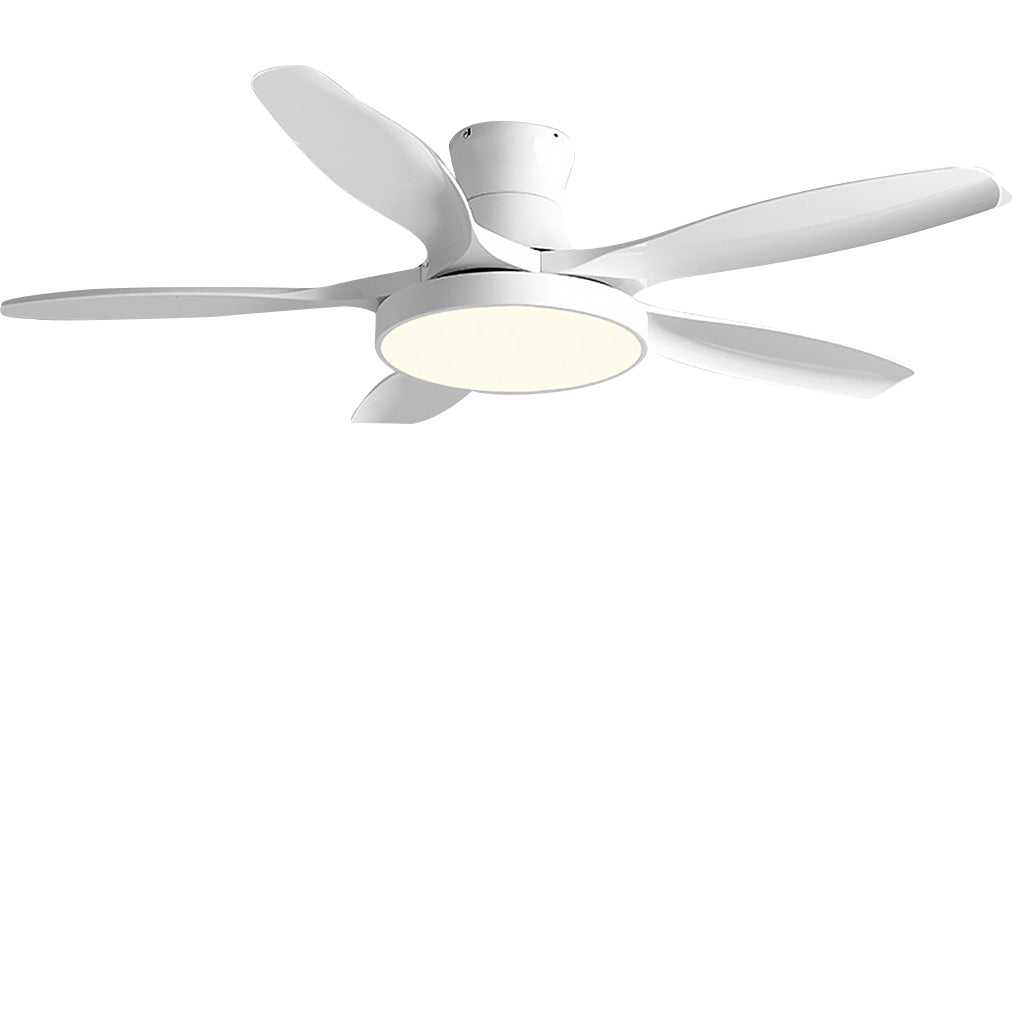 Modern Silent Inverter Ceiling Fan with LED Lights for Living Room