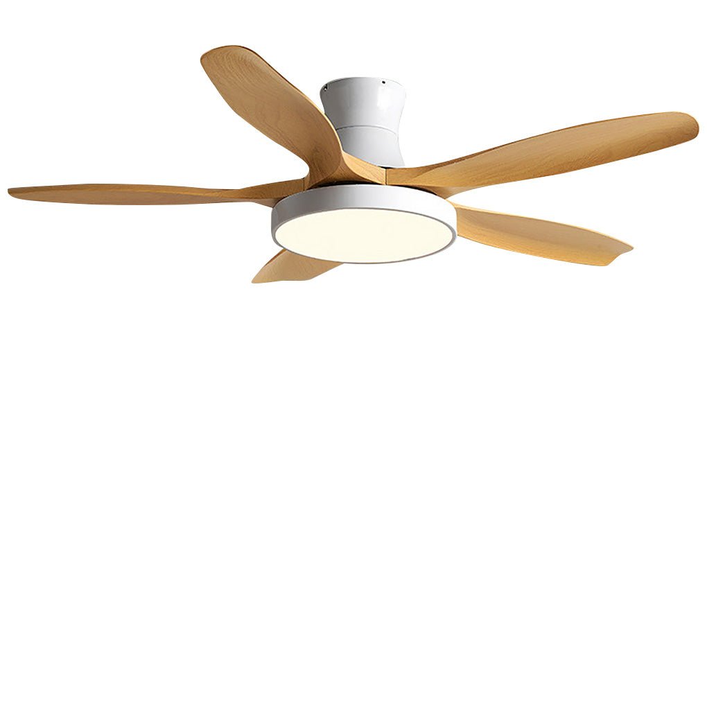 Modern Silent Inverter Ceiling Fan with LED Lights for Living Room
