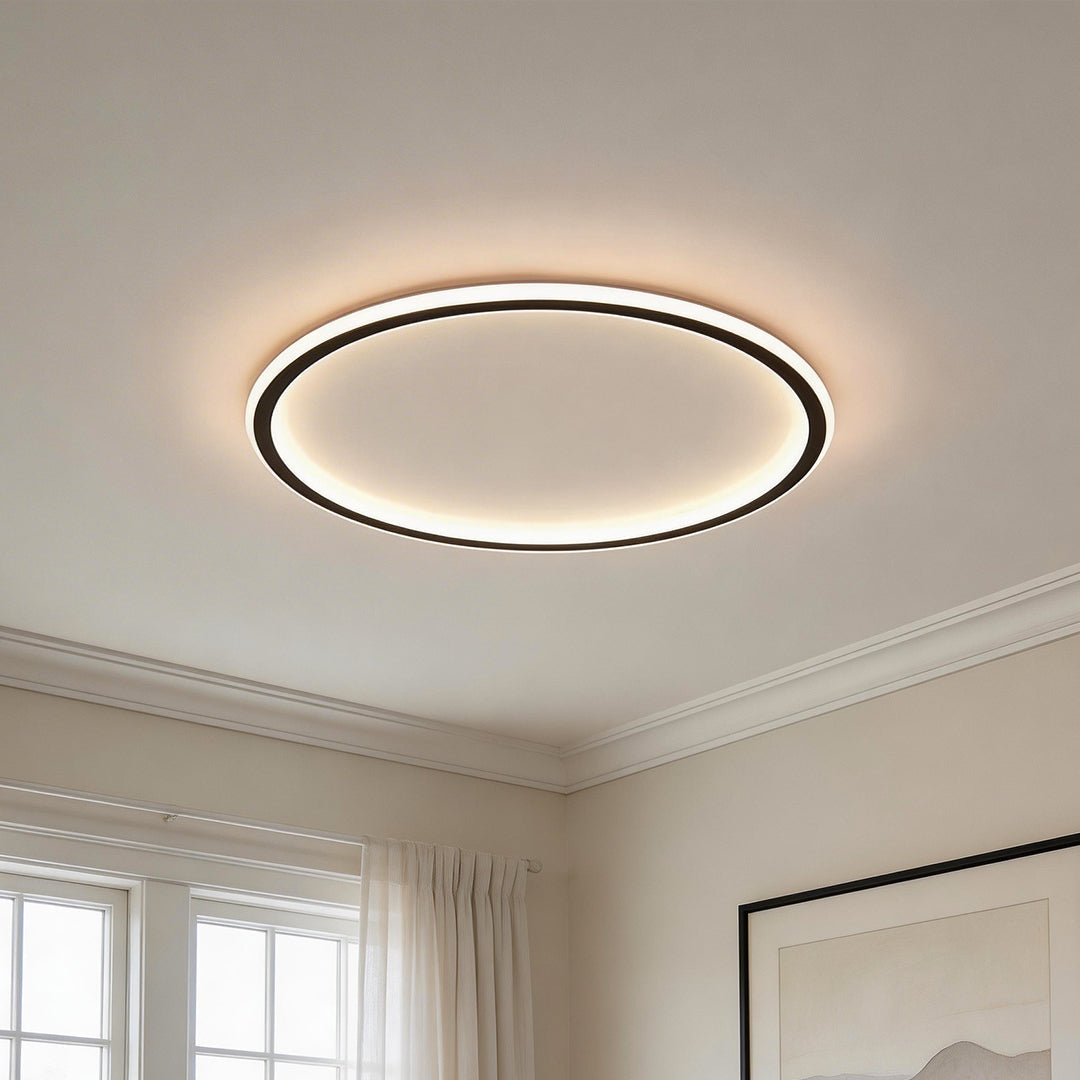 LED Circle Ceiling Lamp - Simple Acrylic Metal Light Fixture