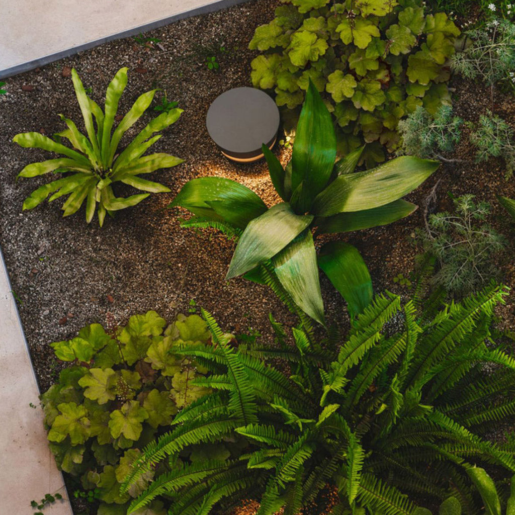 Black Pathway Lights - Sleek Minimalist Design Lawn Lighting for Modern Outdoor Spaces