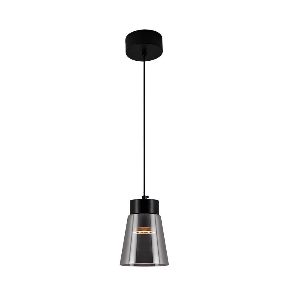 Minimalist Smoke Gray Glass Shade Pendant Light Chandelier