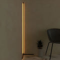 Modern Minimalist RGB Corner Floor Lamp - Black LED Design