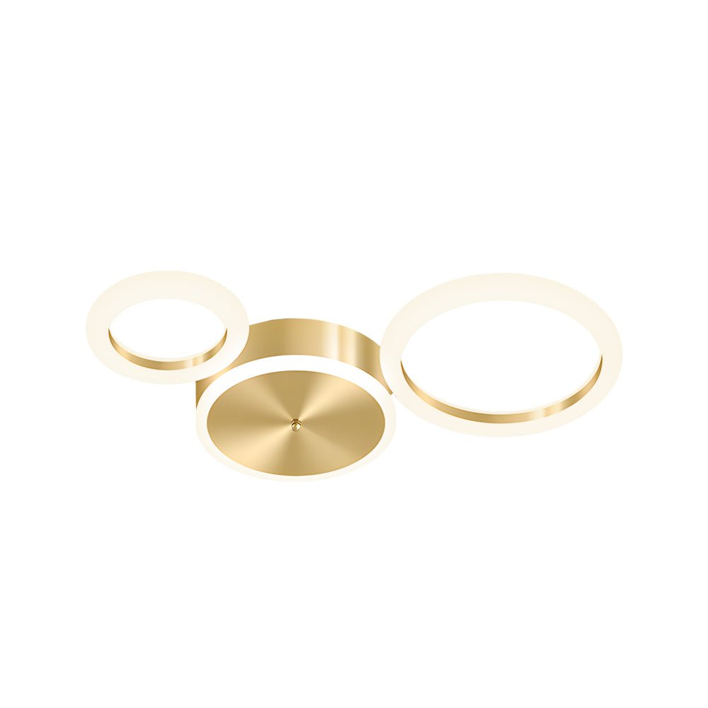 Modern Gold LED Flush Mount Ring Ceiling Light Fixture