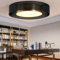 Nordic Dimmable LED Ceiling Light with Remote Control Flush Mount