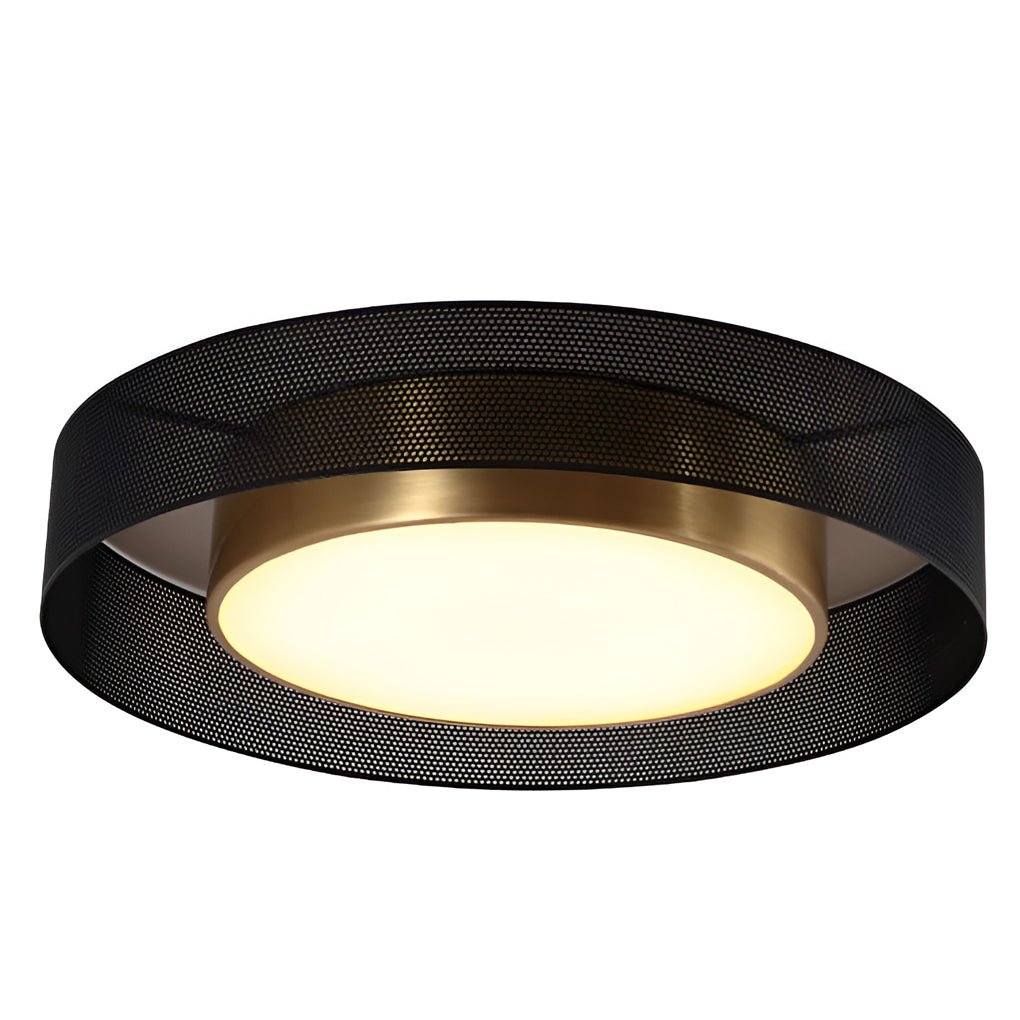 Nordic Dimmable LED Ceiling Light with Remote Control Flush Mount