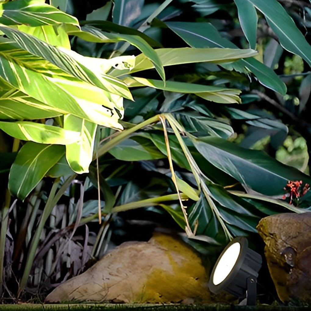 Modern Outdoor LED Spotlights for Energy-Efficient Garden Lighting